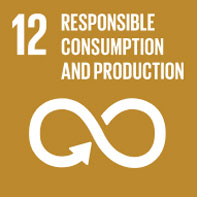 SDG 12 Responsible Consumption and Production