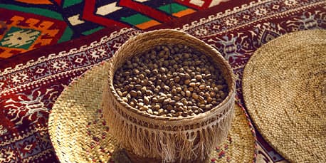 Sustainability