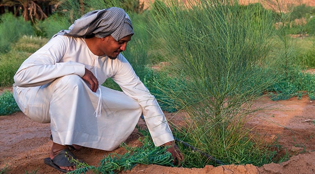 Sustainable Farming